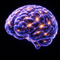 BrainArk